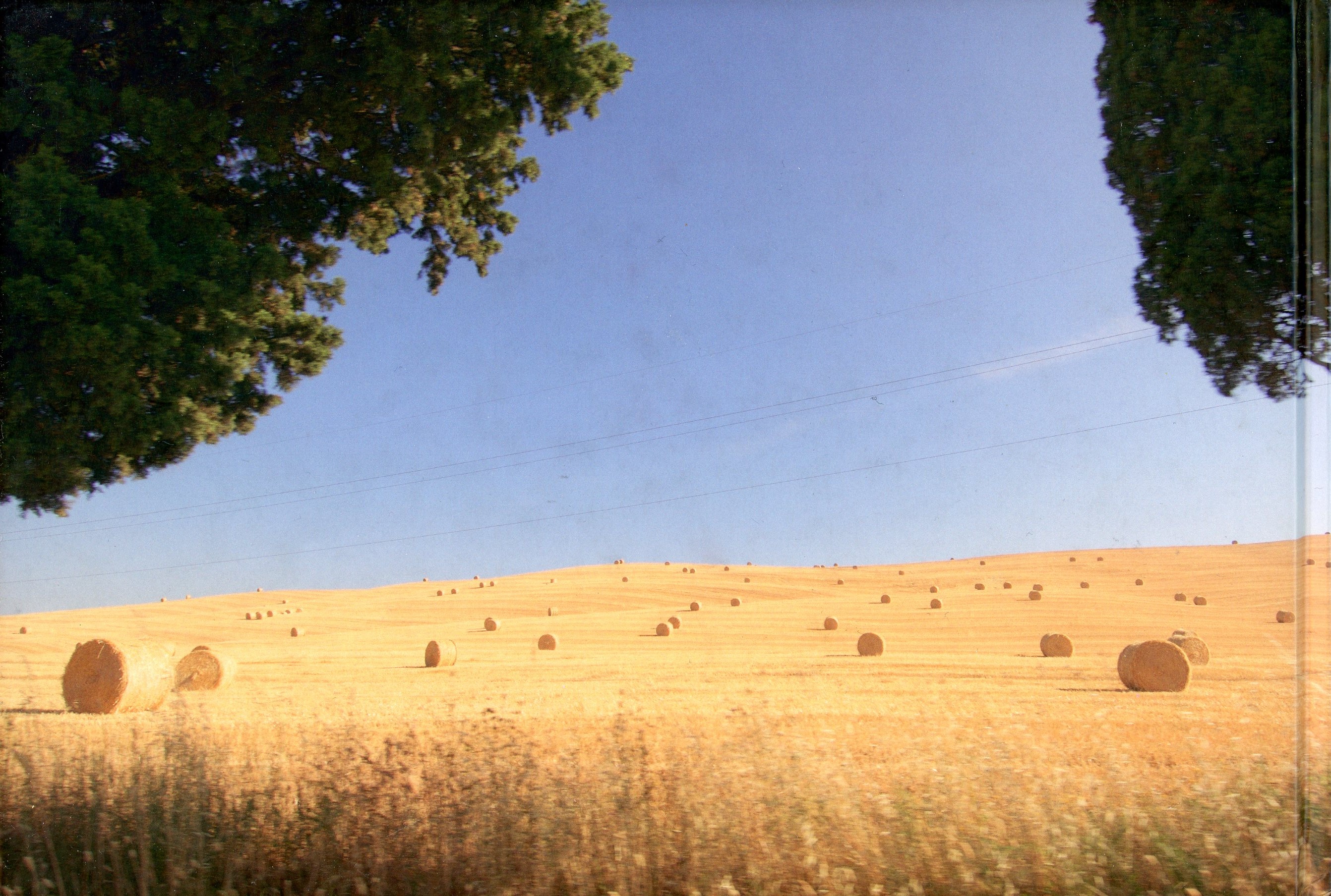 PHOTOGRAPHS FROM AN OPEN CAR