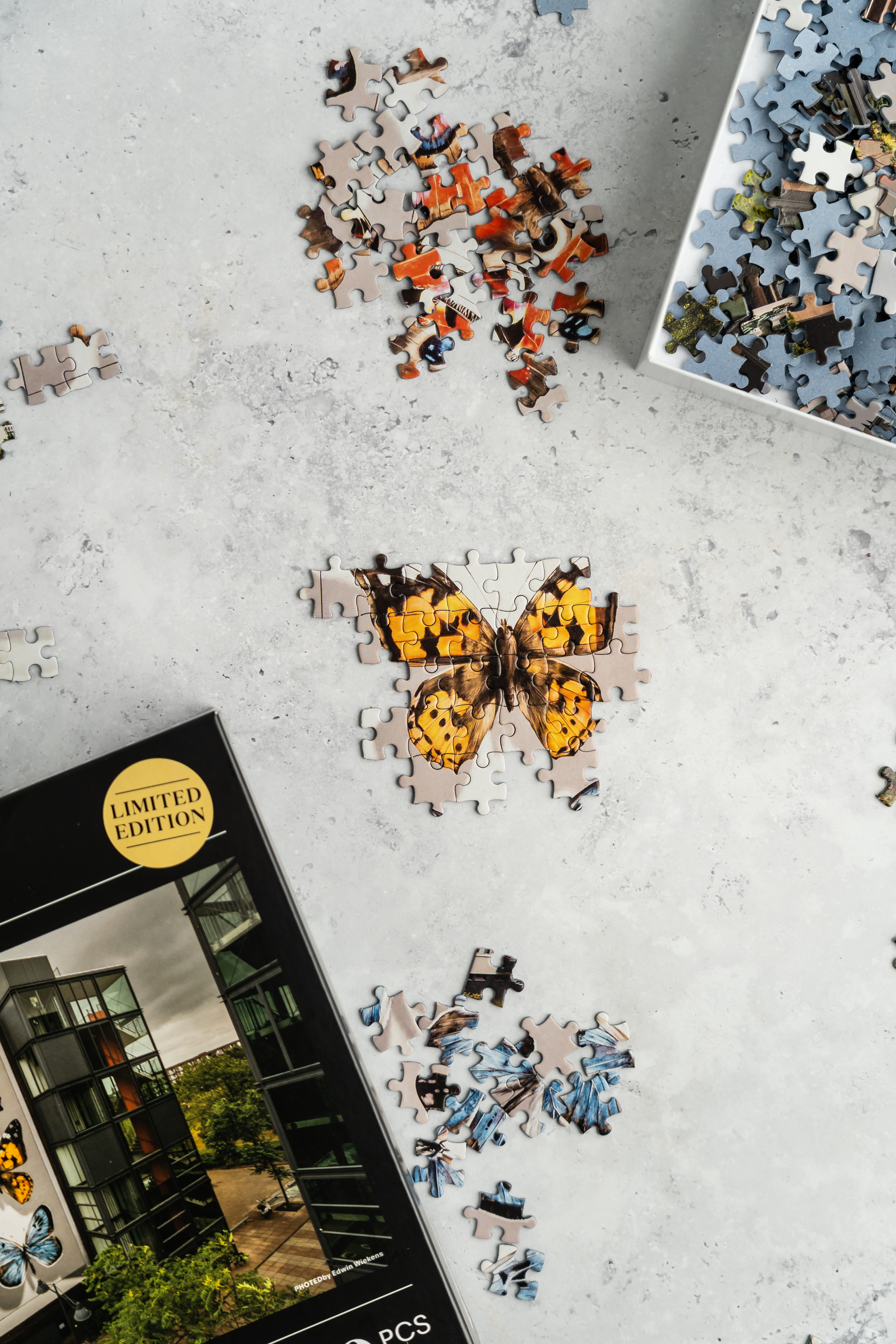 Legpuzzel Mantra, de mooiste vlinders van de stad! 1000 stukjes